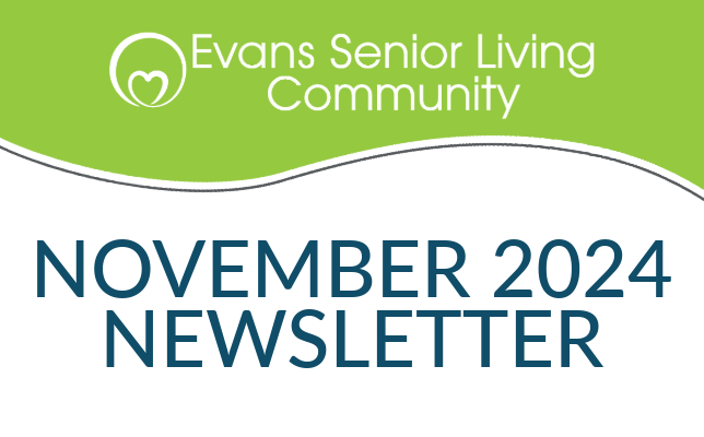 November 2024 Newsletter